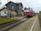 798 766 vorne am 28.10.2025 in Wasserthaleben (Strecke Erfurt - Nordhausen)