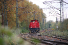 275 110-5 Dortmunder Eisenbahn am 24.10.2024 Oberhausen Abzw. Walzwerk
