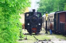 Lok 498.04 beim Umsetzen Steyr-Lokalbahnhof