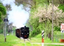 Fahrt auf der Steyrtalbahn (760 mm)  am 1.5.2019