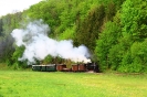 Zwischen Sommerhubermühle und Waldneukirchen