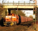 RAG 809