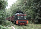 RBH 004