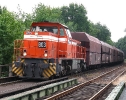 RBH 803