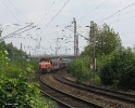 RBH 809