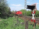 RBH 843