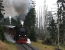 99 7241-5 am 12.8.2013 bei der Durchfahrt am ehem. Hp Goetheweg auf dem Weg zum Brocken.