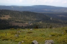 Zug zum Brocken am 20.5.2009.