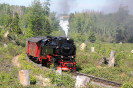 nochmal 99 236 am 1.6.2023 auf dem Weg zum Brocken.