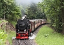 Wernigerode