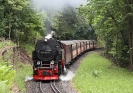 99 7239-9 am 5.6.2011 in Höhe der ehem. Verladestelle Thumkuhlental auf dem Weg nach Drei Annen Hohne.