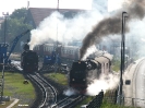 Gegenlichtaufnahme Dampflok-Bw Wernigerode am 31.5.2008.