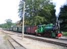 53 Mh (994633-6) am 15.7.2004 in Göhren.