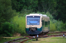 650 032-4 der OLA am 4.8.2014 in Putbus